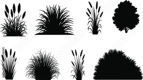 Grass and tree silhouette collection isolated on white background, black plant and bush shapes set, nature landscape design elements for graphic projects