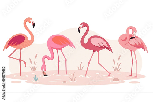 Flamingo Flat vector