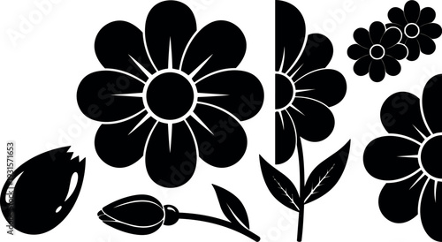 Minimalist silhouette floral vector close up daisy flowers and buds on stems with leaves isolated black on white bold graphic