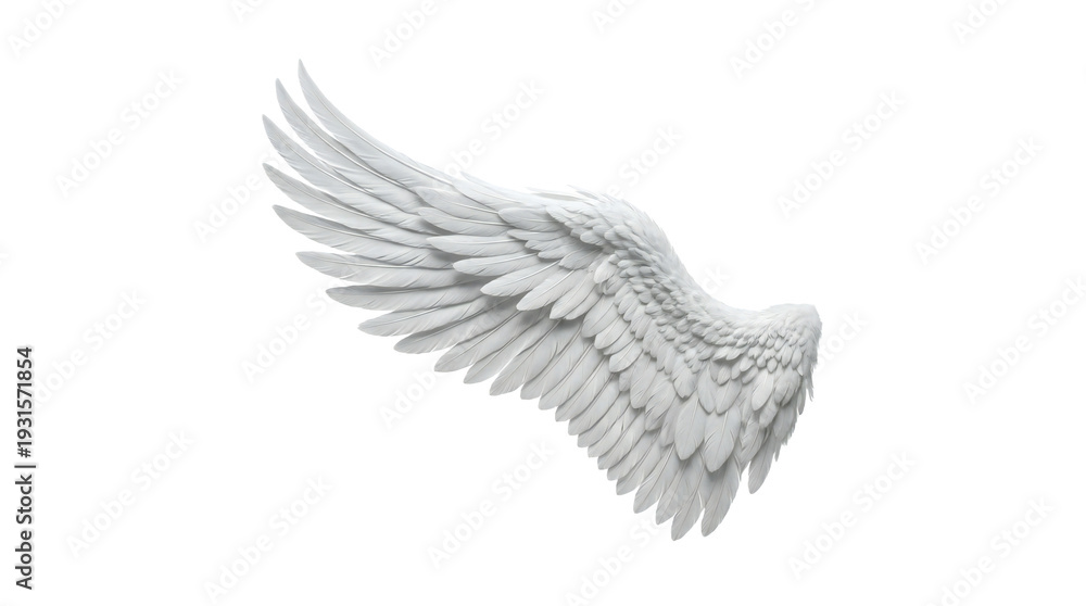 Obraz premium A single elegant white feather wing is prominently displayed against a stark black background, emphasizing its ethereal beauty and detail.
