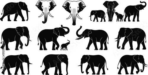 Elephant silhouette collection with African wildlife poses and family groups, black safari animal vector set isolated on white background