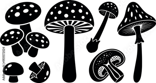 Flat design spotted mushroom collection various silhouettes close up and cross section vector art isolated on white gill detail ink