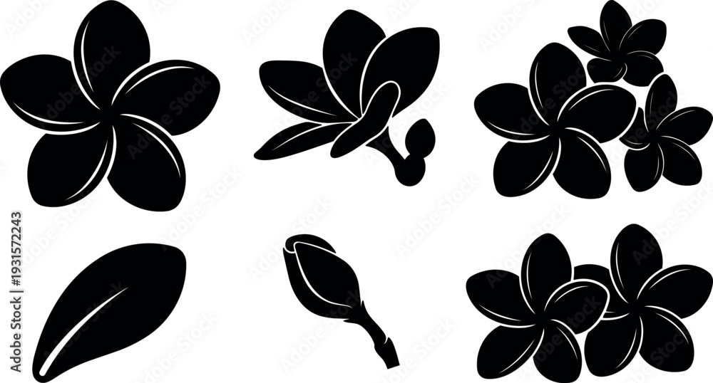 Fototapeta premium Minimalist silhouette vector set of plumeria flowers and buds close up top view floral icons black shapes flat collection isolated