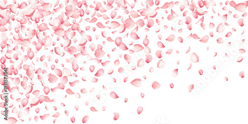 Creative sakuta tree blossom petals flying on white backdrop vector illustration. Birthday flower decor elements. Festive spring pink bloom petals holiday Springtime garden abstraction.