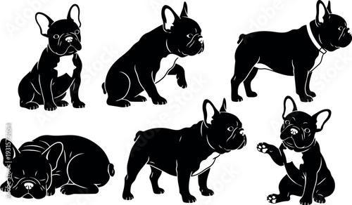 Flat vector silhouette french bulldog in multiple poses sitting standing lying waving paw raised side view close up studio collection