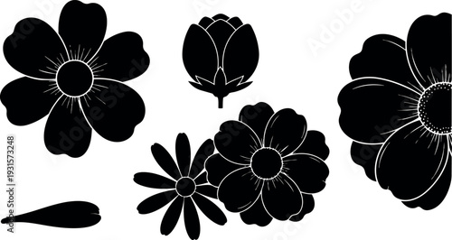 Silhouette floral vector set with daisy anemone buds petals isolated on white background flat minimal black studio composition side view