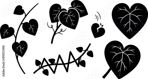Minimalist vector flat design heart shaped leaves on climbing vine close up botanical silhouette with visible veins landscape orientation black