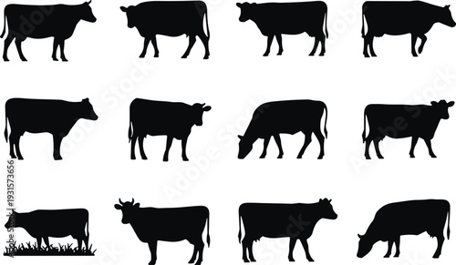 Cow silhouette set, cattle grazing icons, beef and dairy farm animal collection, livestock silhouettes for farming logos, organic beef butcher shop labels.