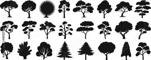 Tree silhouette collection featuring deciduous and evergreen forest shapes, black woodland vector set isolated on white background for landscape design
