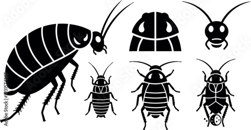 Flat design insect silhouette set showing multiple cockroach angles close up profile top view and frontal face vector icons collection