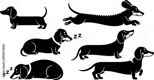 Flat design dachshund silhouettes in black and white various poses sleeping running jumping walking lying side view playful happy tail