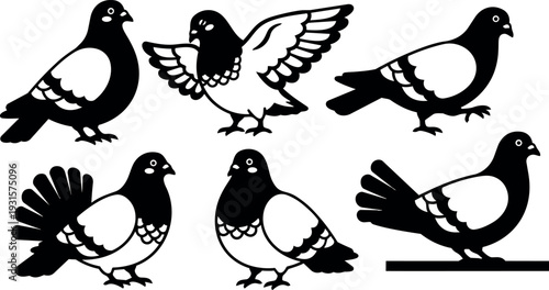 Flat vector pigeon set showing six black and white pigeon silhouettes in various poses with wing spread and standing upright