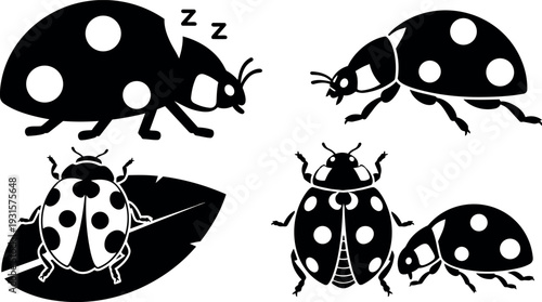 Flat design close up ladybug silhouettes set showing varied poses sleeping walking on leaf front and top views playful vector