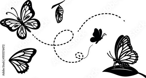 Line art butterfly composition showing chrysalis flying and resting butterfly minimalist black vector silhouette with dotted flight trail and leaf