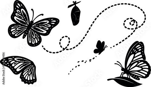 Line art butterfly composition with dotted flight trails multiple butterflies chrysalis perched on leaf side view black silhouette minimal vector