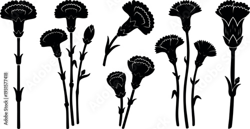 Minimalist silhouette vector carnation stems and buds arranged in black floral icons on white background various sizes side view detailed