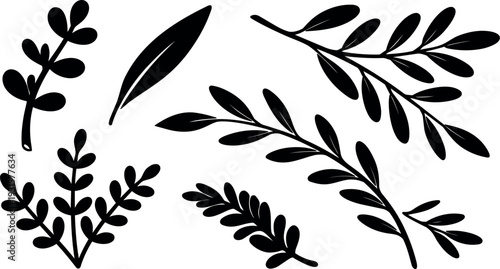 Minimalist vector botanical leaf sprigs set close up black silhouette flat design layout for pattern making and botanical collage art