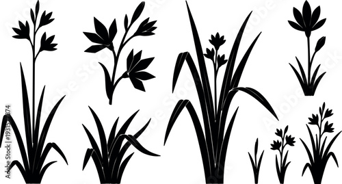 Silhouette vector flat design grass and wildflower cluster set close up botanical plant icons in black minimal style natural outline