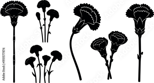 Flat design silhouette carnation flower stems set showing multiple angles close ups single stems clusters and tilted blooms in black