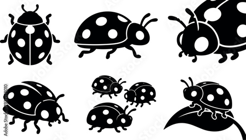 Flat design ladybug icon set showing multiple angles close up on leaf group of beetles simple silhouette black vector minimal