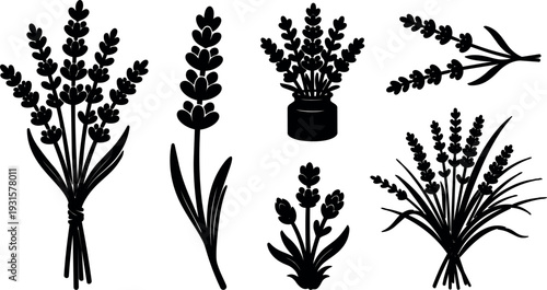 Minimalist flat design lavender sprigs bouquet single stem jar arrangement botanical silhouettes on white background soft natural mood herb aroma