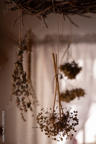 Dried plant in Rustic Interior