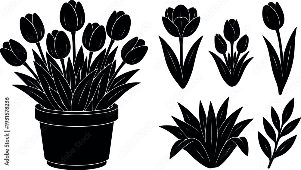 Fototapeta premium Flat design vector potted tulip cluster and six floral silhouette icons close up isolated on white background minimal graphic set