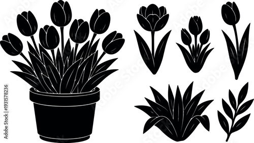 Flat design vector potted tulip cluster and six floral silhouette icons close up isolated on white background minimal graphic set