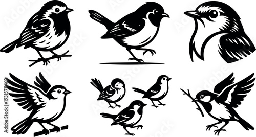 Minimalist line art bird set vintage woodcut style vector icons showing perched flying and singing songbirds in black and white