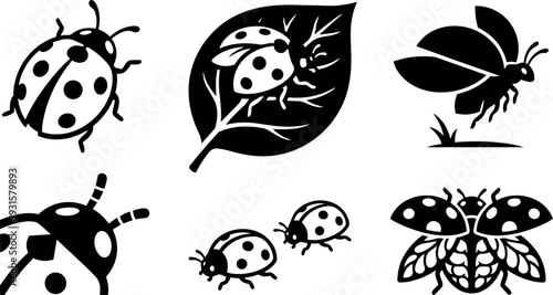 Flat design ladybug icon set close up assorted beetle silhouettes on leaf flying and walking various angles simple black vector