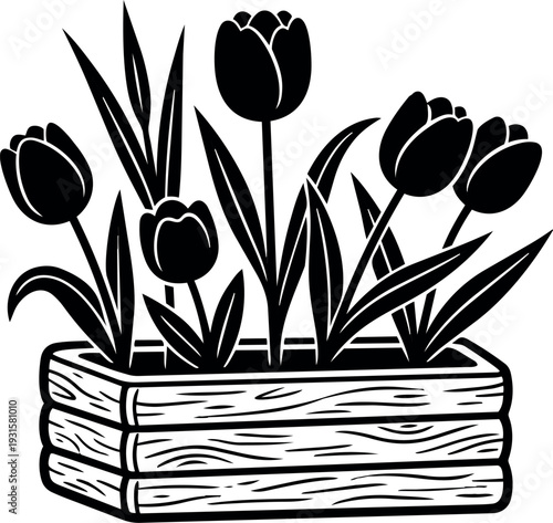 Woodcut style close up tulip planter box with five tulip stems looking up side angle bold black vector graphic minimal