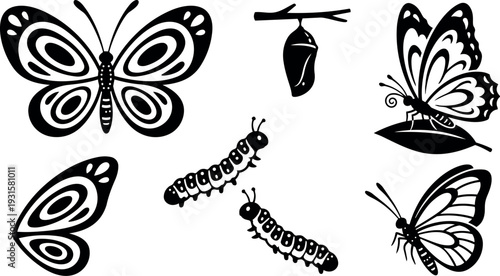 Flat design black silhouette butterfly and caterpillar set showing chrysalis and wing details on white background close up high contrast