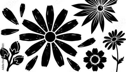 Hand drawn floral silhouette vector close up daisies petals scattered single stem buds black ink minimalist composition isolated white background