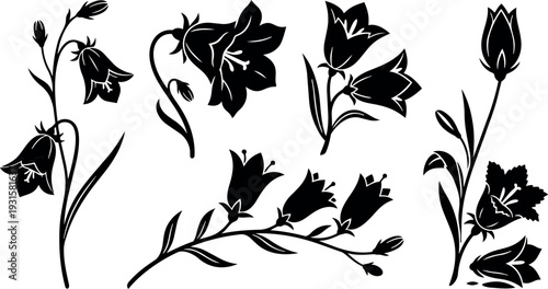 Silhouette floral vector set of bellflowers and campanula branches arranged with buds leaves and blooming side views isolated black silhouettes