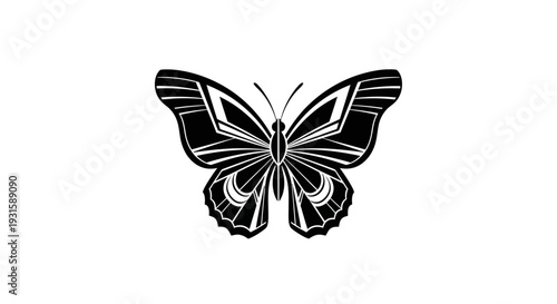 Black and White Butterfly Illustration.