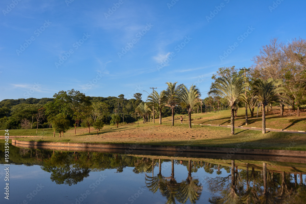 Obraz premium Summer in park