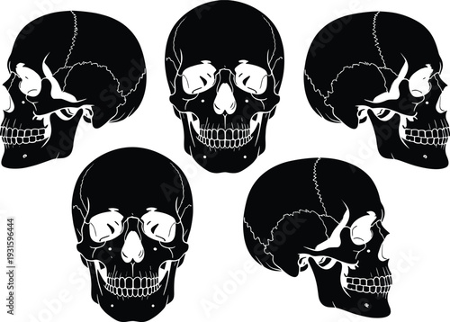 Black Human Skull Illustration Set with Front and Profile Views Isolated on White Background for Anatomy Study Gothic Design Tattoo Art and Halloween Graphics