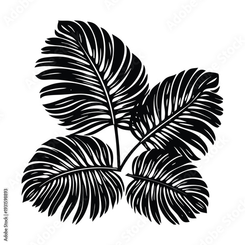 Vector palm leaves illustration
