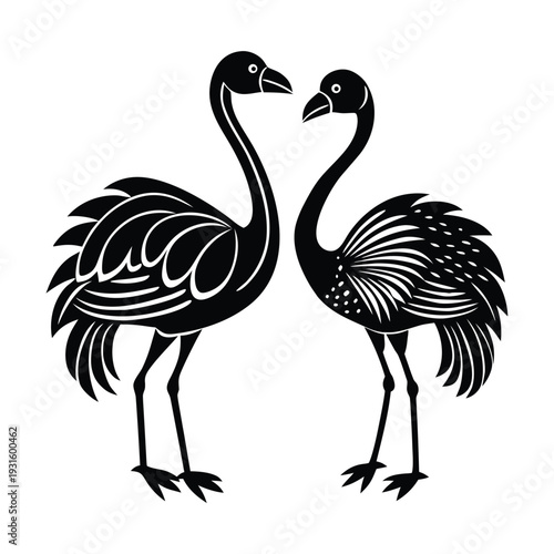 Vector illustration of 2 ostriches in black and white