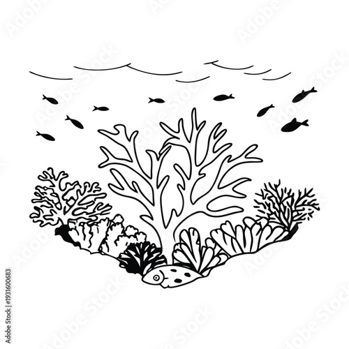 Black and white coral reef vector illustration