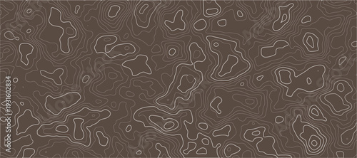 Topographic Contour Map Texture Pattern With Brown Terrain Lines And Abstract Elevation Detail.