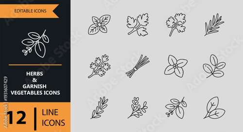 Herbs And Garnish Vegetables Outline Organic Icon Collection