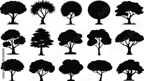 Tree silhouettes collection set, diverse forest botanical elements, nature garden plants, organic oak and maple ornaments