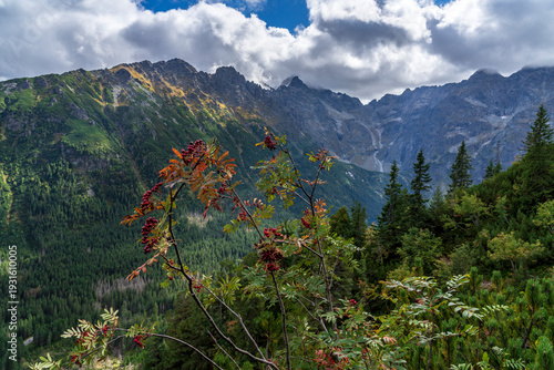 Nature’s Layers in the High Tatras.