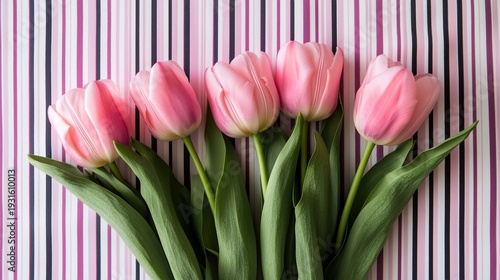 Pink Tulips Arranged on a Striped Background in a Simple Setting