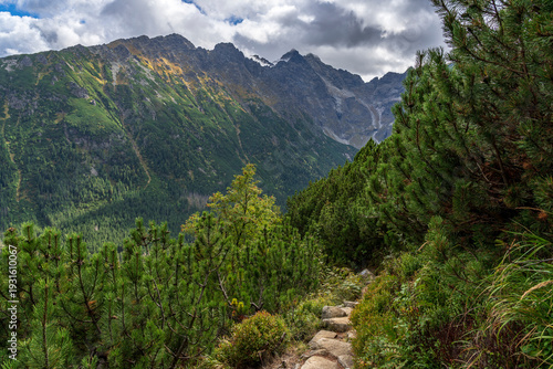 The Stony Road Through the Greenery. High Tatras.