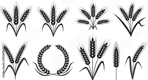 Wheat Ears and Barley Grain Silhouette Set with Agricultural Cereal Symbols and Laurel Wreath Design Elements Vector Collection Isolated on White Background