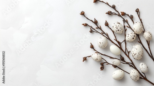 Decorative Eggs and Branches Arranged on Plain Background for Spring Celebration
