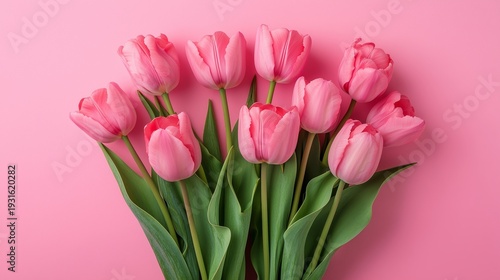 Pink Tulips Arranged on a Pink Background in a Simple Display for Decoration