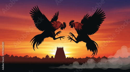 Tamil village Seval Sandai (rooster fight)